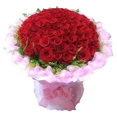 美丽纯洁的爱情